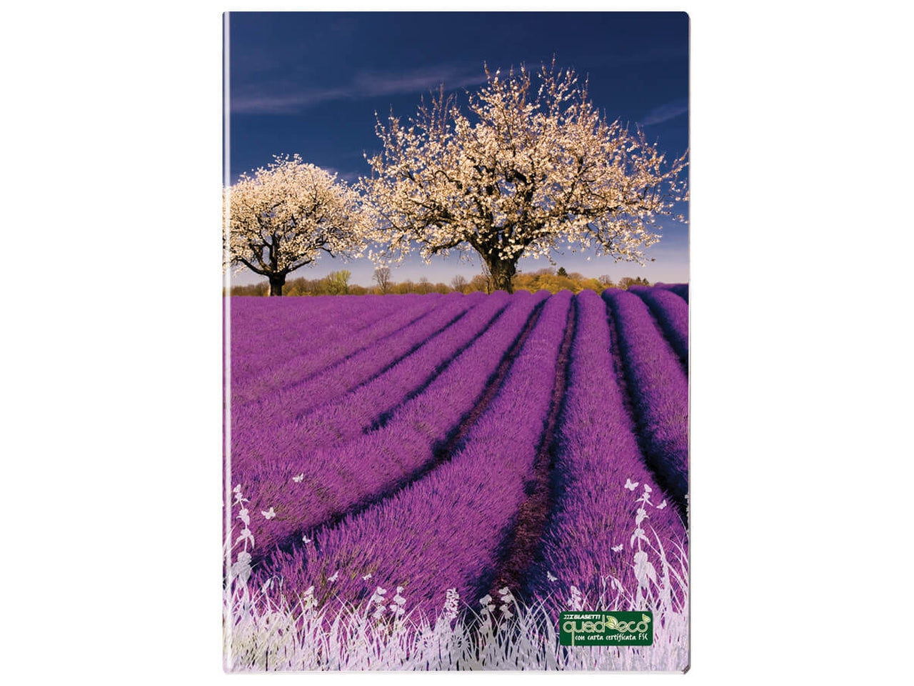 Quaderno maxi QuadecÃ² 20+1fogli 80gr Q con margine in confezione da 10 pezzi