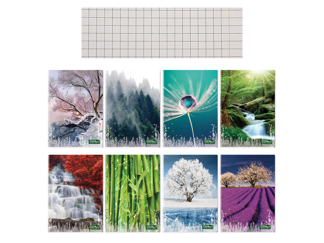 Quaderno maxi QuadecÃ² 20+1fogli 80gr Q con margine in confezione da 10 pezzi