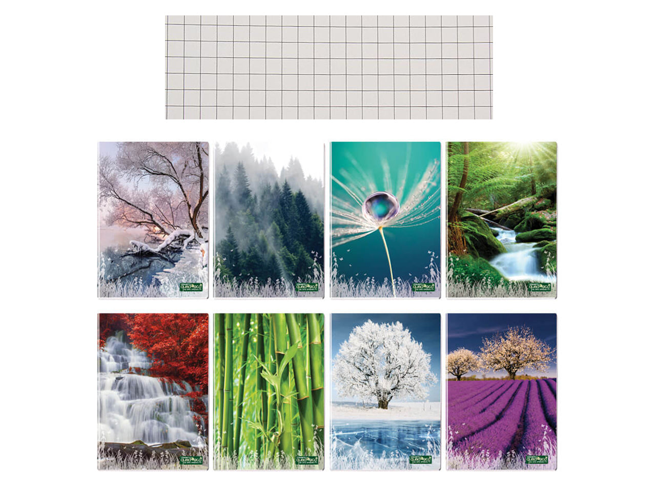 Quaderno maxi QuadecÃ² 20+1fogli 80gr 5M in confezione da 10pezzi