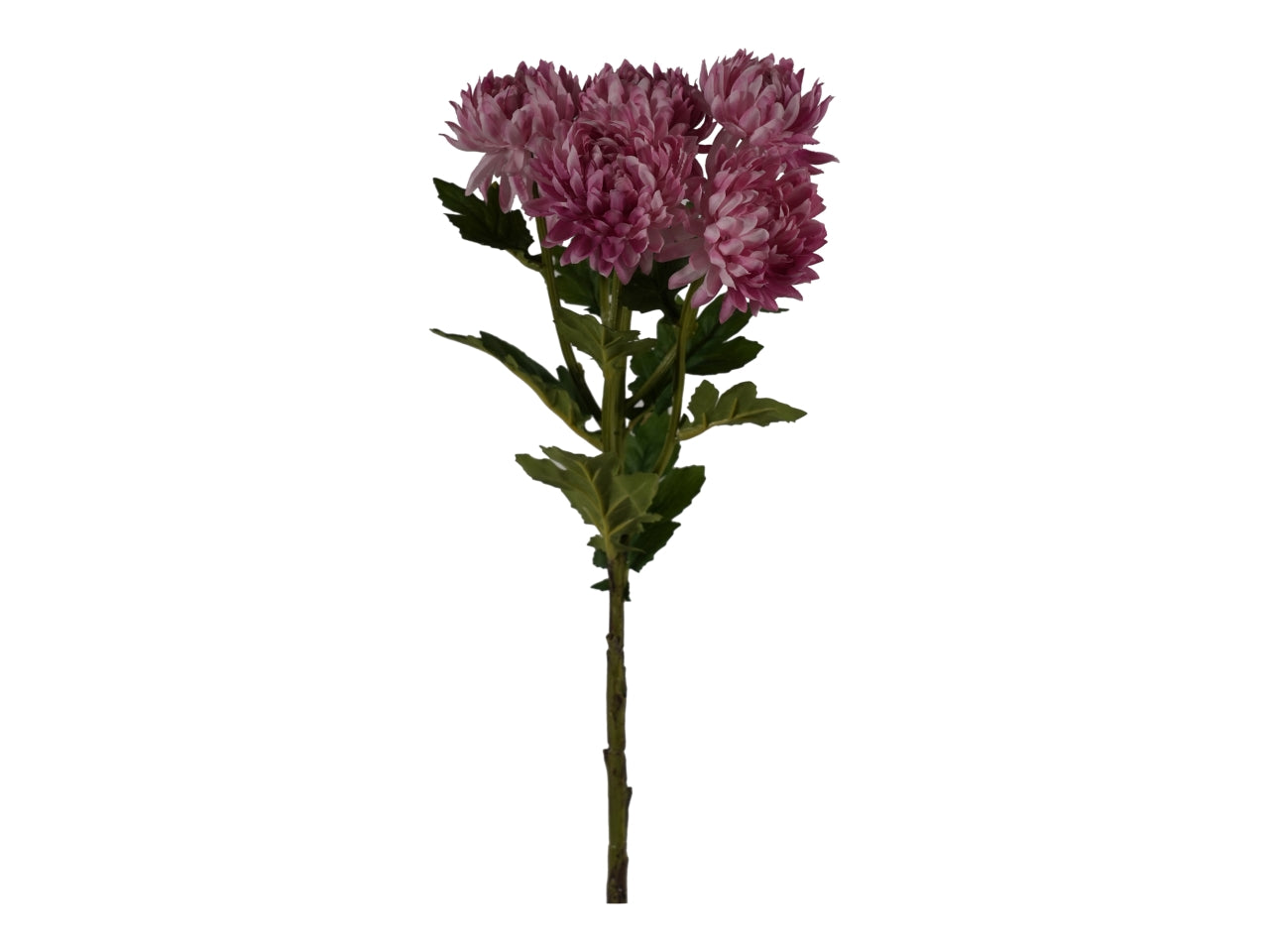 Tralcio crisantemo rosa
