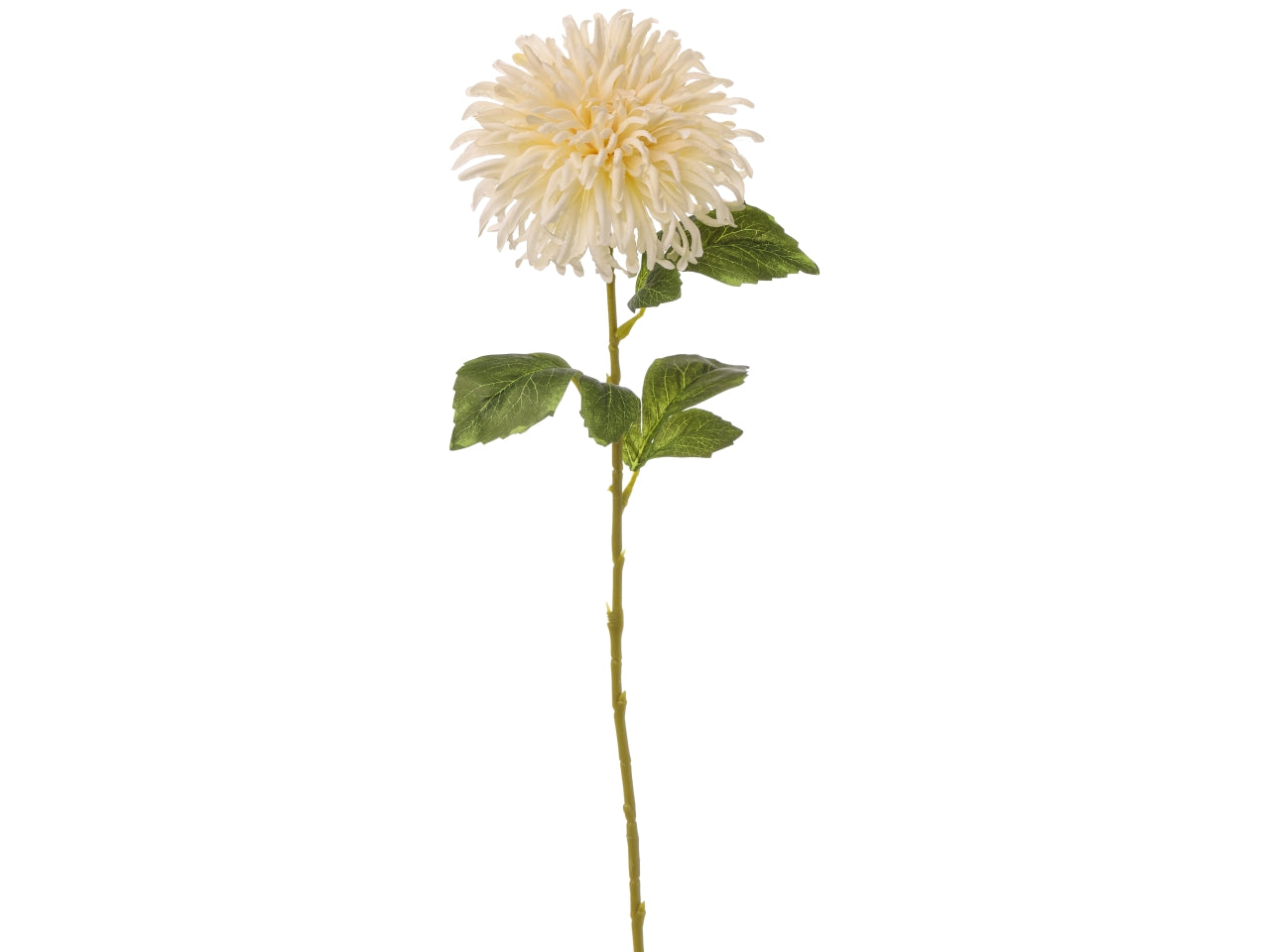 Crisantemo fuji singolo h.65cm bianco