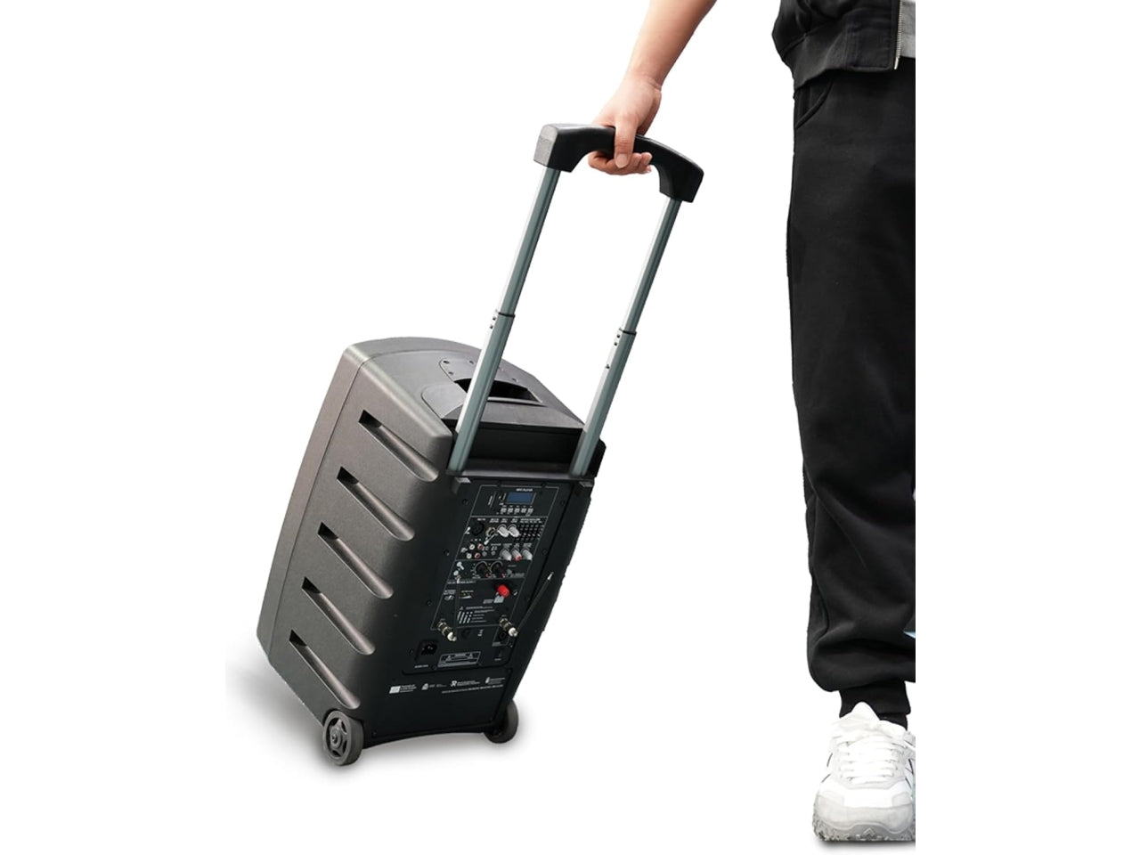 Cassa acustica wireless trolley da 100W con 2 microfoni senza filo