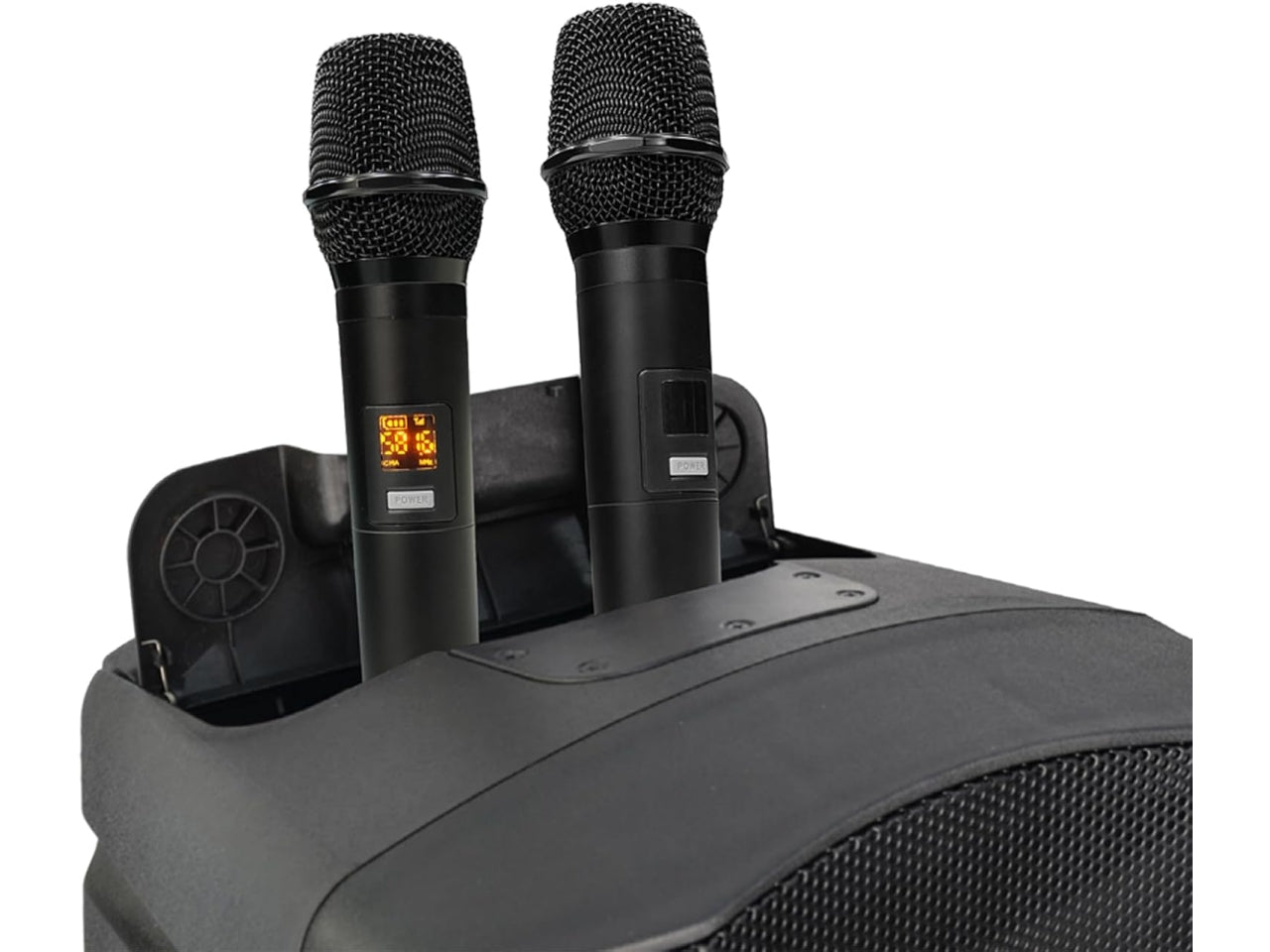 Cassa acustica wireless trolley da 100W con 2 microfoni senza filo