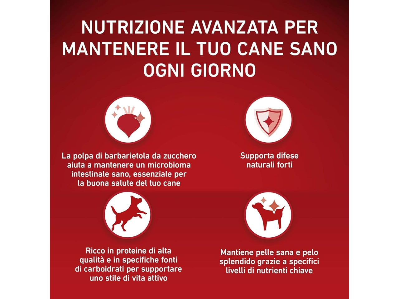 Purina one mini dog act.pollo/riso 800gr