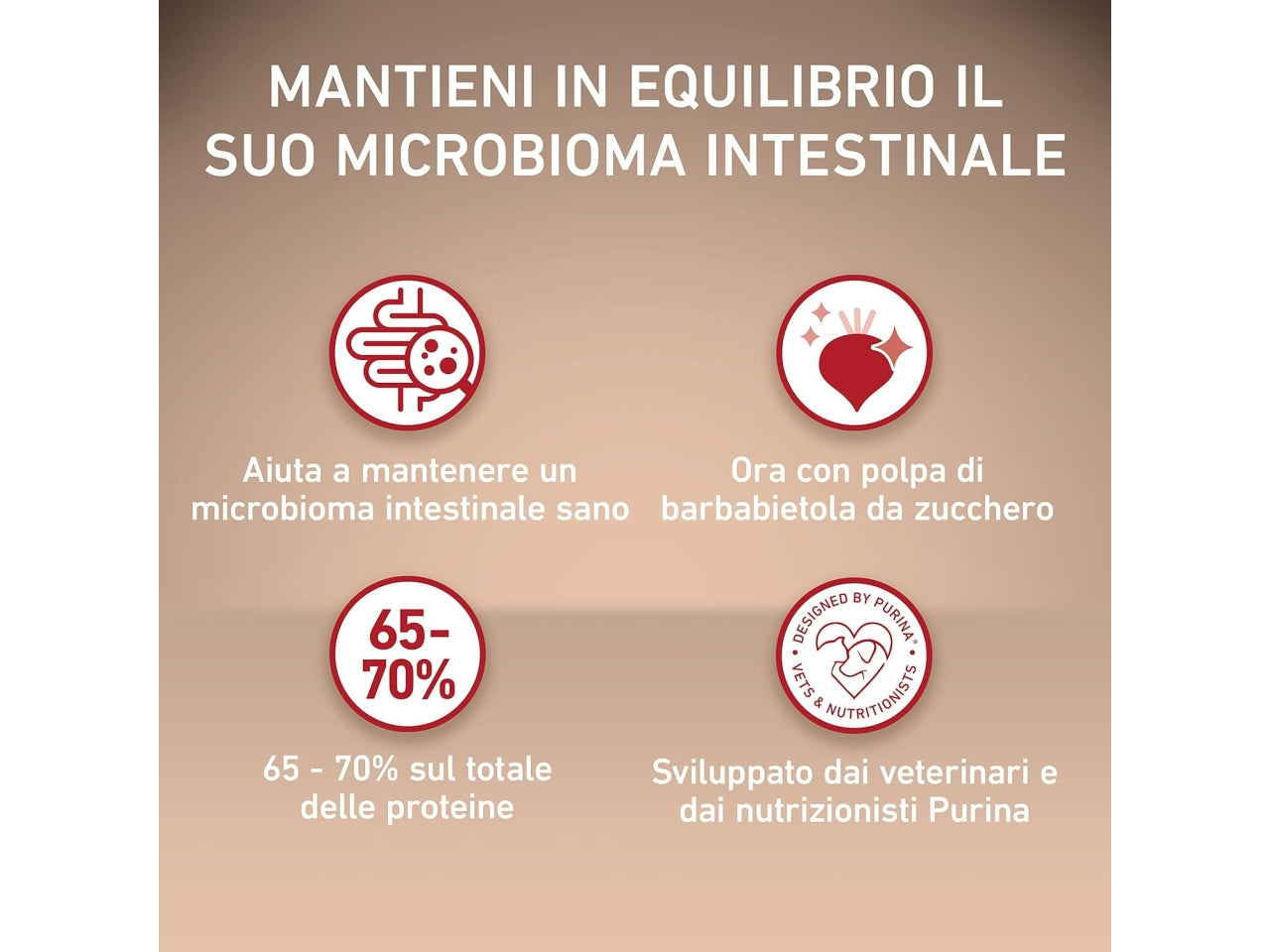 Purina one mini dog act.pollo/riso 800gr