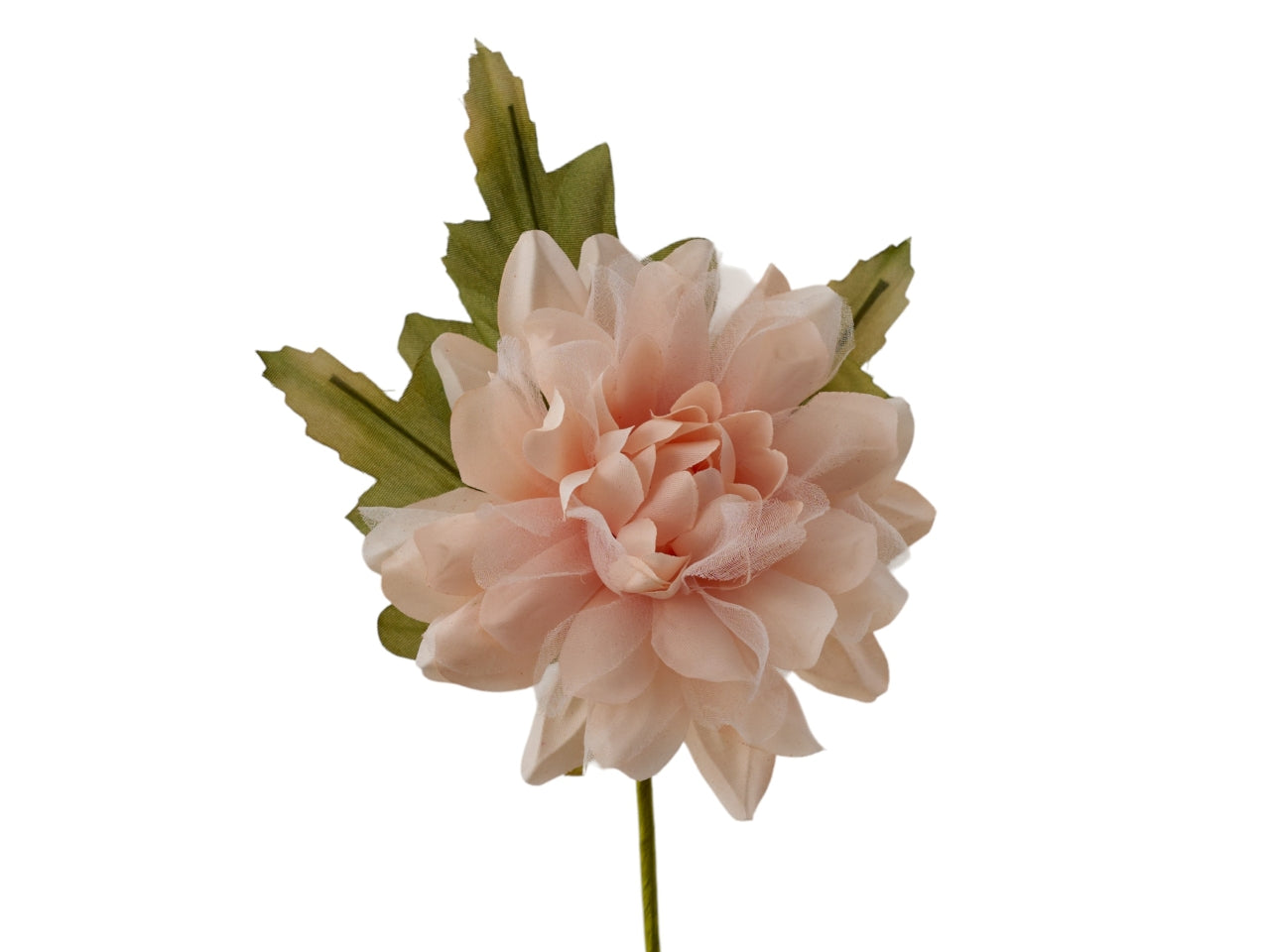 Dalia con foglie cipria