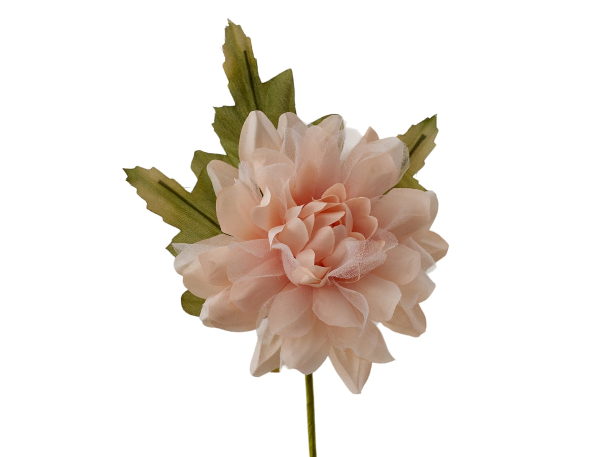 Dalia con foglie cipria