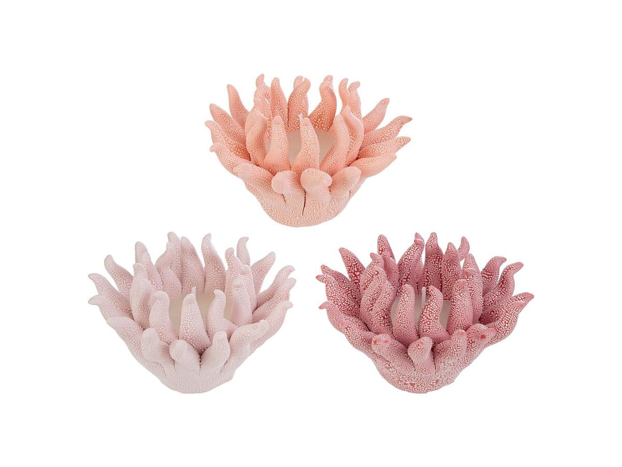 Corallo portacandela 12x7cm con astuccio in 3 colori assortiti
