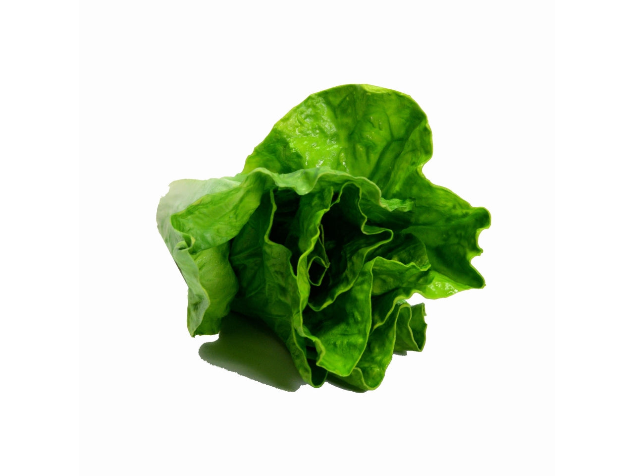 Lattuga artificiale 15x9xh.9cm verde