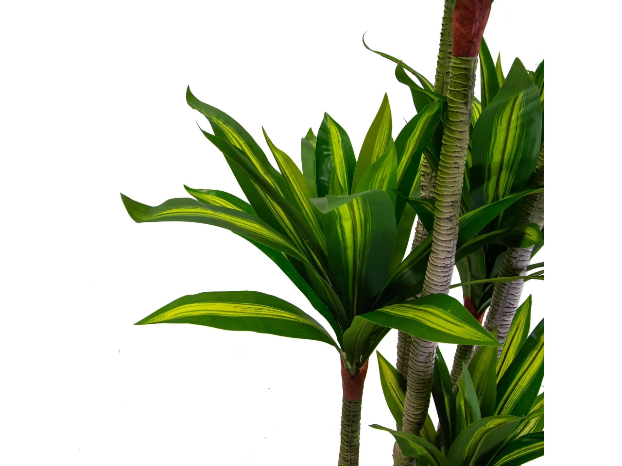 Pianta tronchetto artificiale 180cm