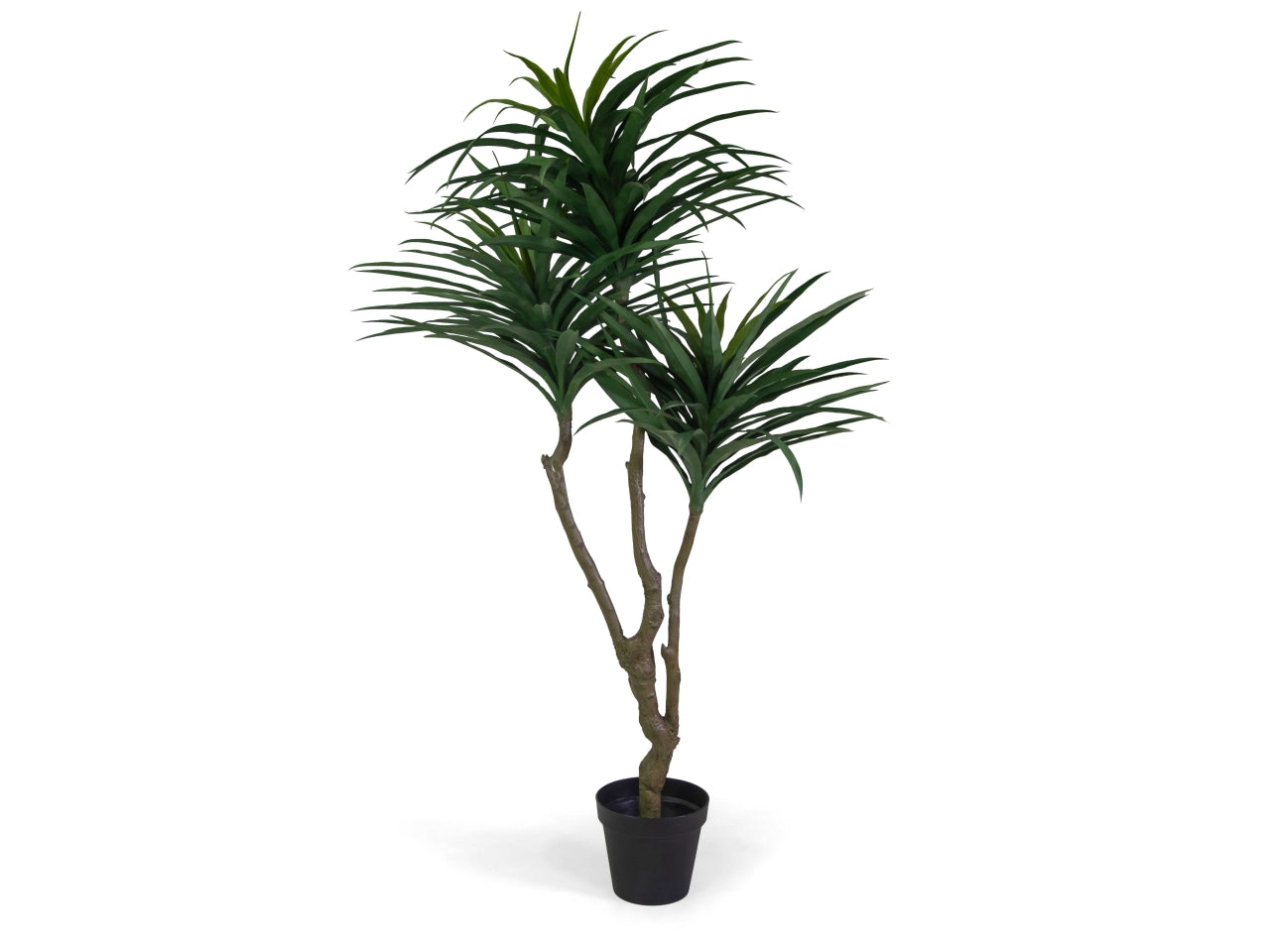 Pianta dracena artificiale 180cm