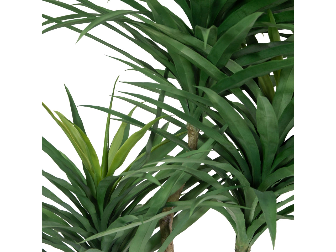 Pianta dracena artificiale 180cm