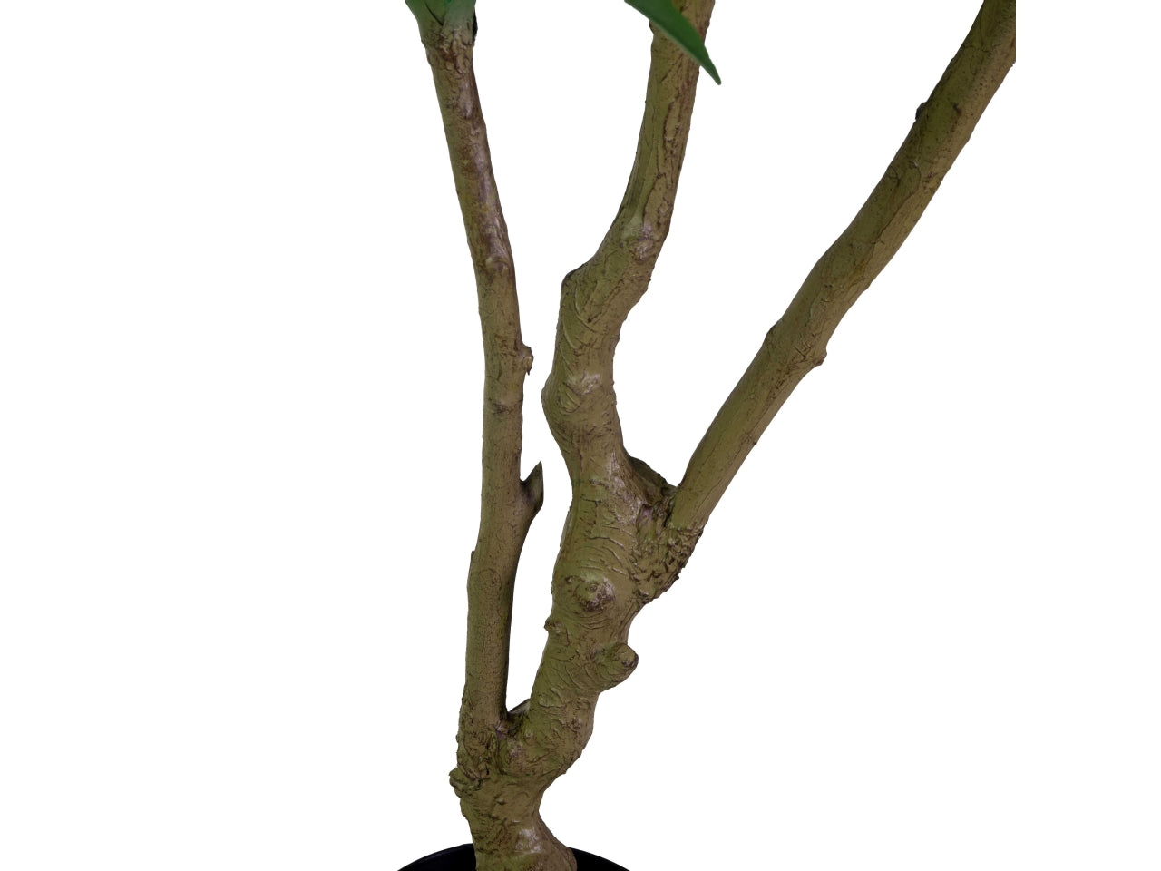 Pianta dracena artificiale 180cm