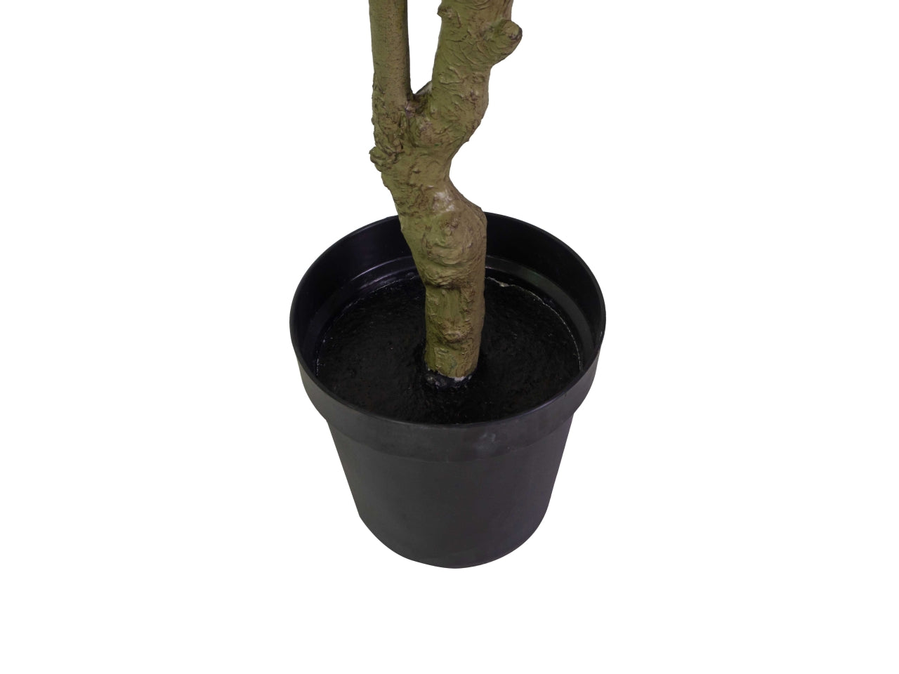 Pianta dracena artificiale 180cm