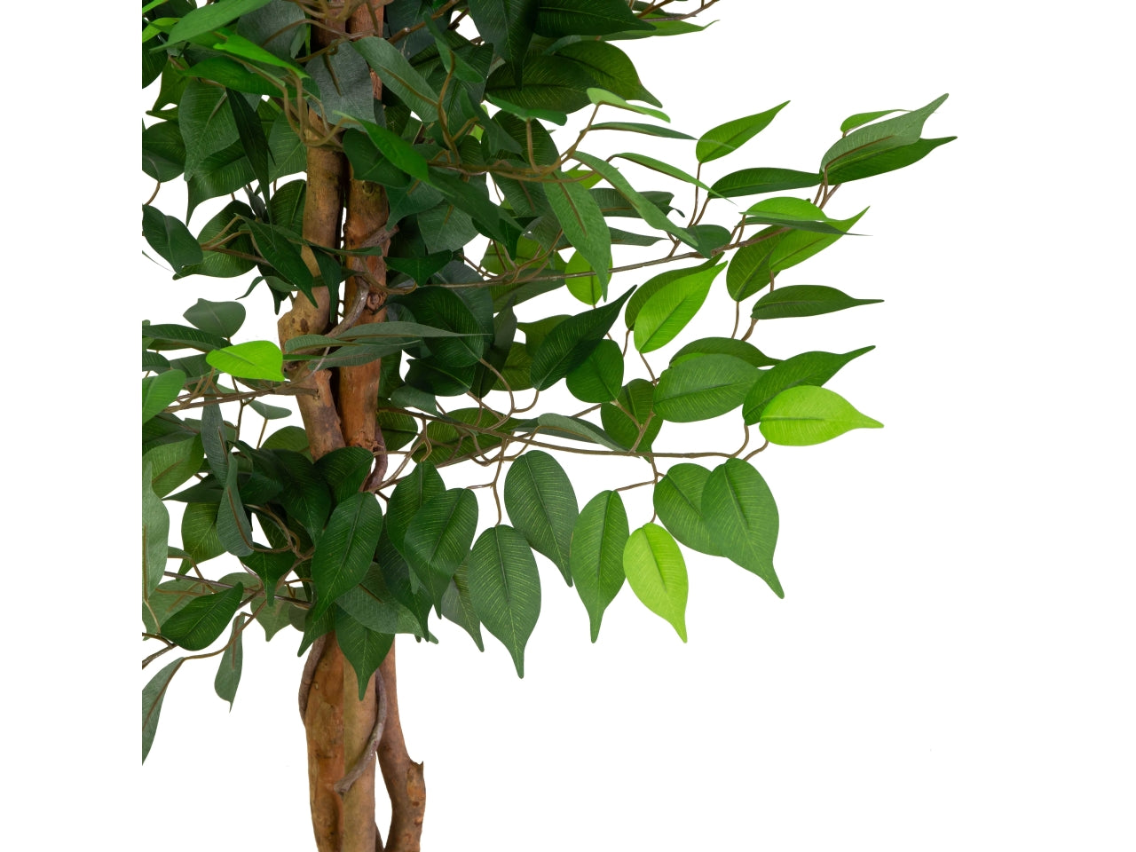 Pianta ficus artificiale 120cm
