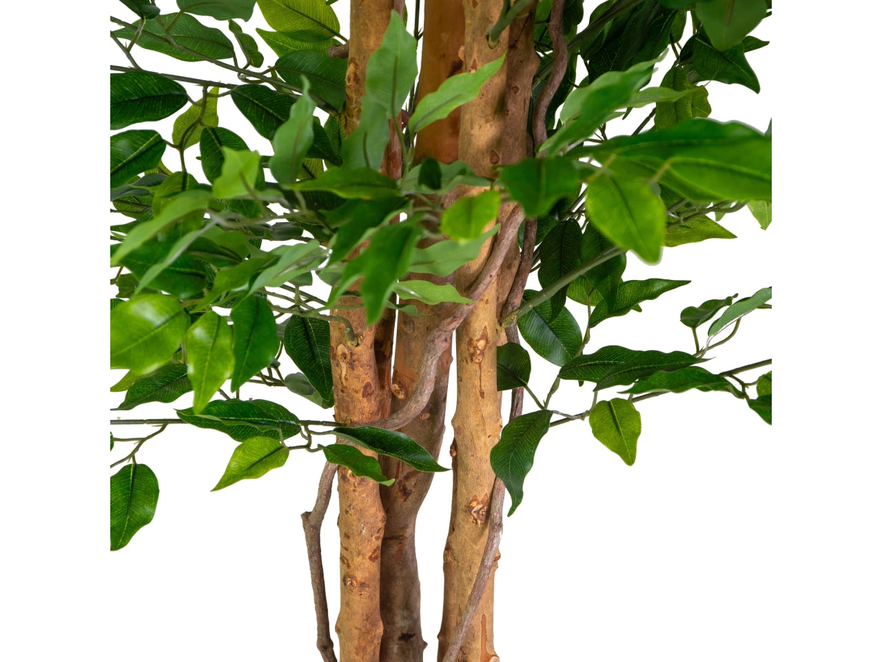 Pianta ficus artificiale 120cm