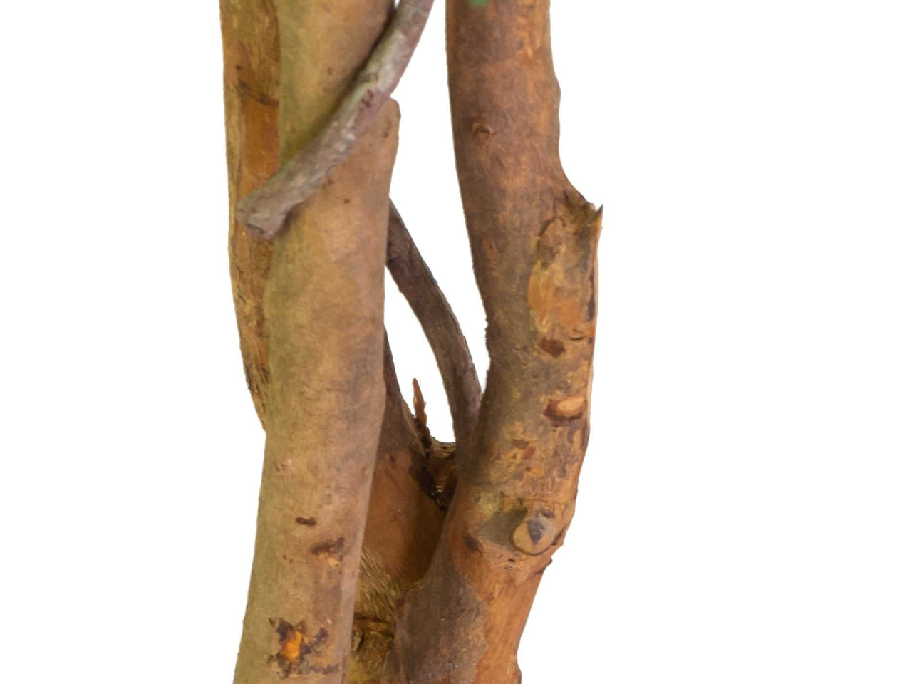 Pianta ficus artificiale 120cm