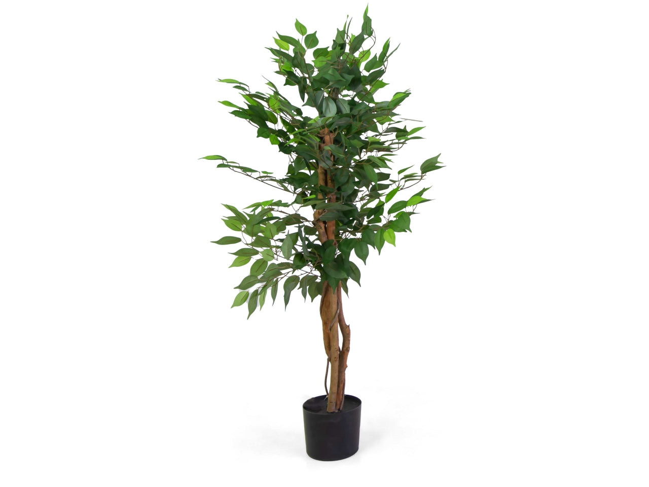 Pianta ficus artificiale 120cm