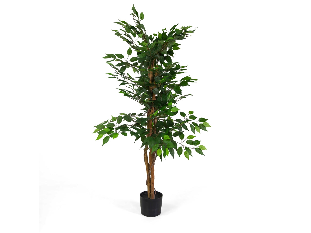 Pianta ficus artificiale 150cm