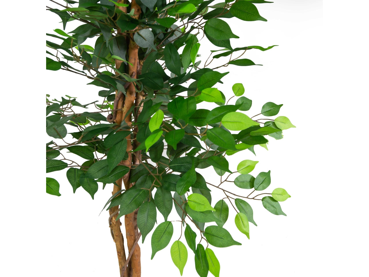 Pianta ficus artificiale 150cm