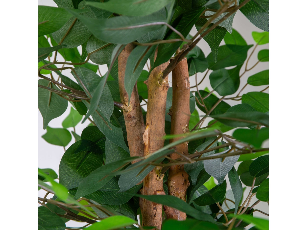 Pianta ficus artificiale 150cm