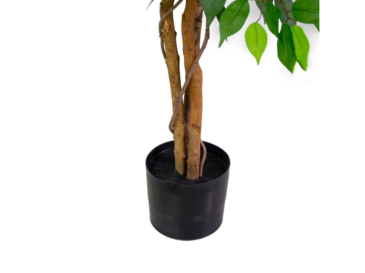 Pianta ficus artificiale 150cm