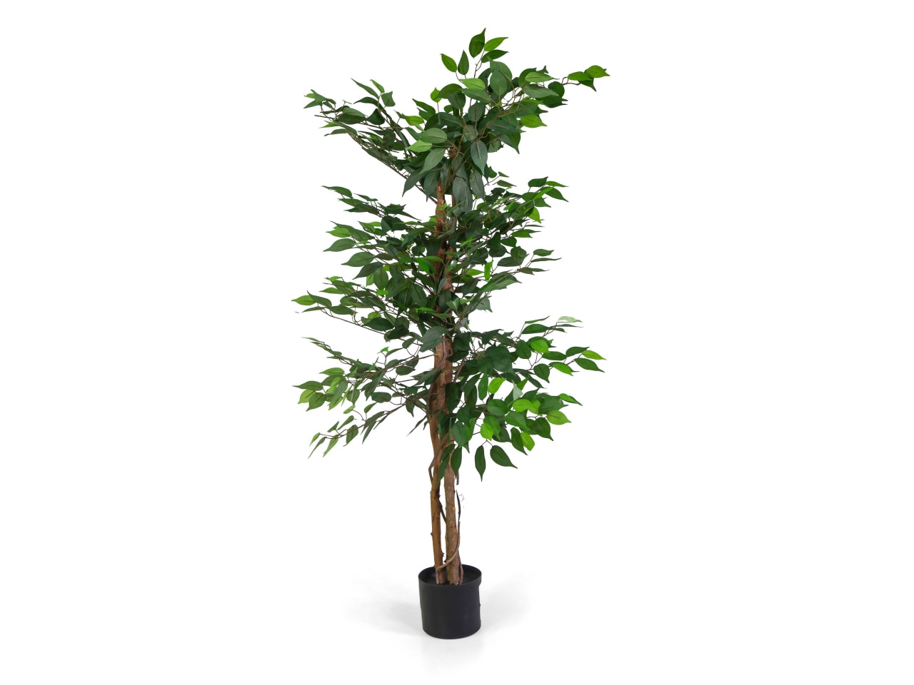 Pianta ficus artificiale 150cm