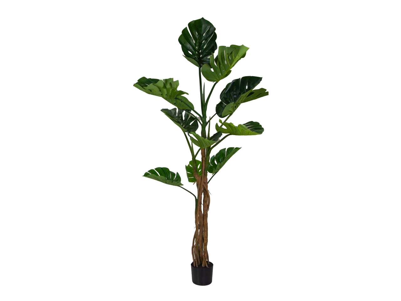 Pianta monstera artificiale 180cm