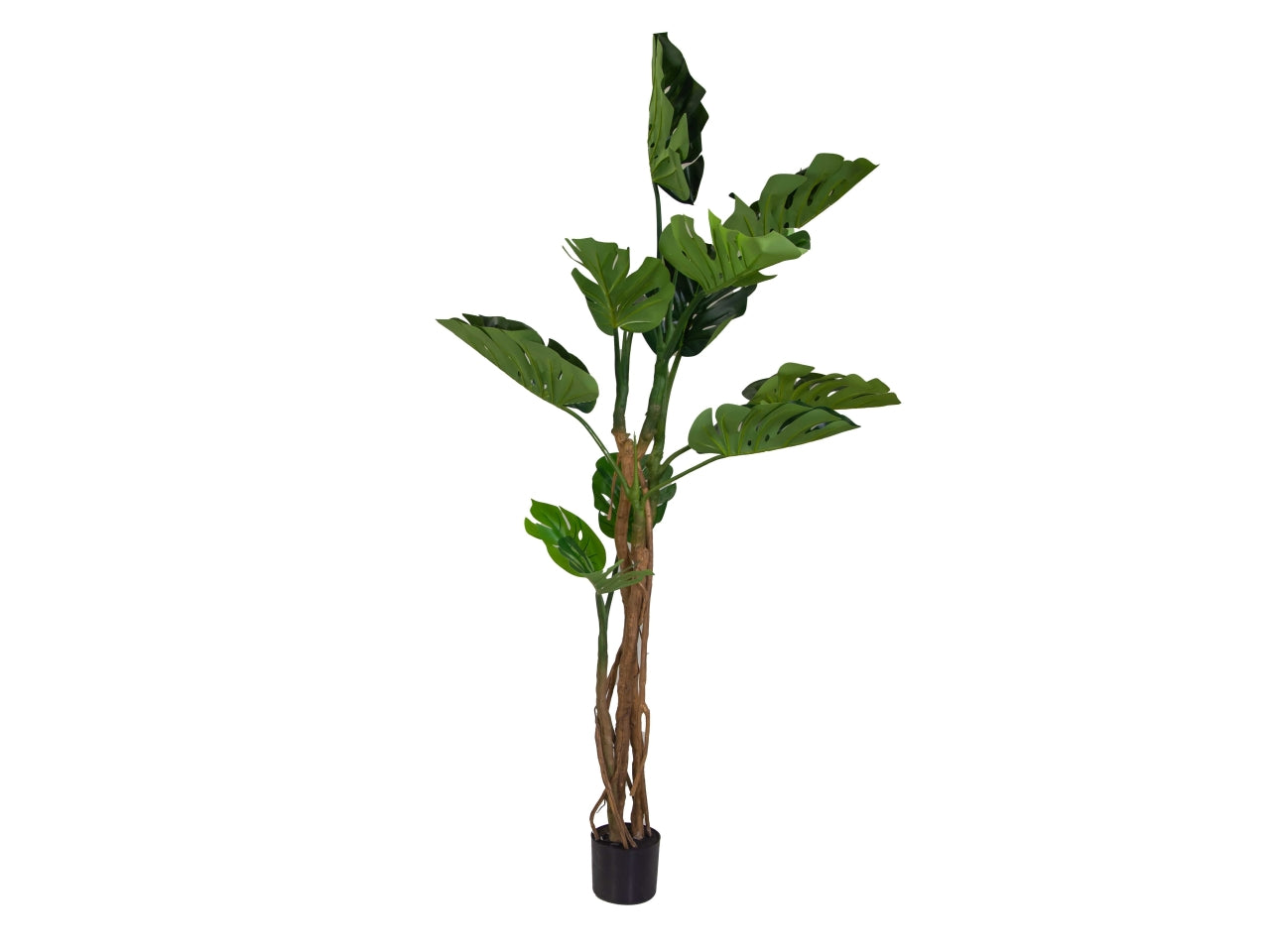 Pianta monstera artificiale 180cm