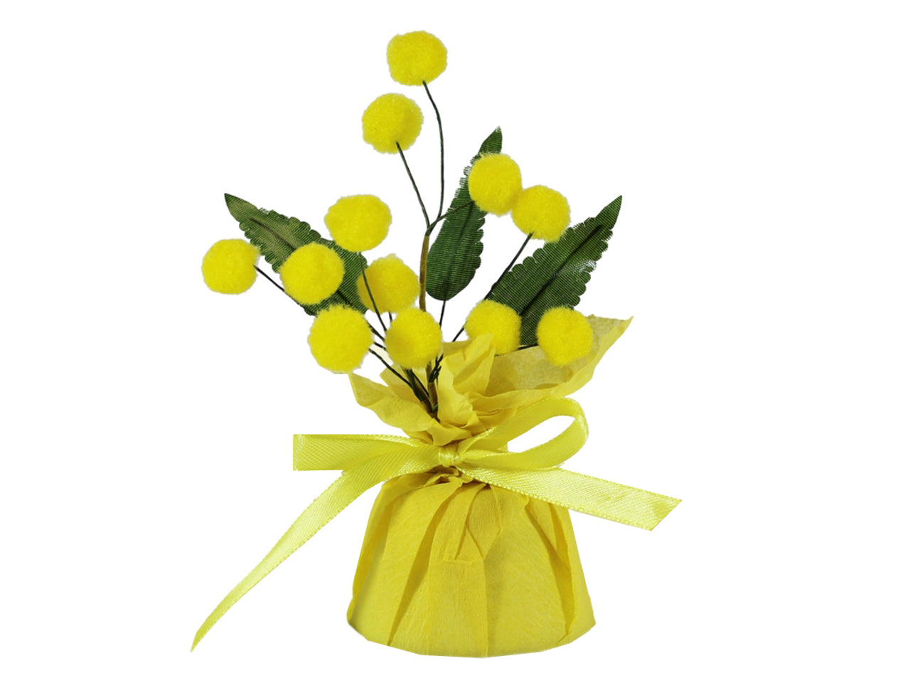 Piantina mimosa 15cm