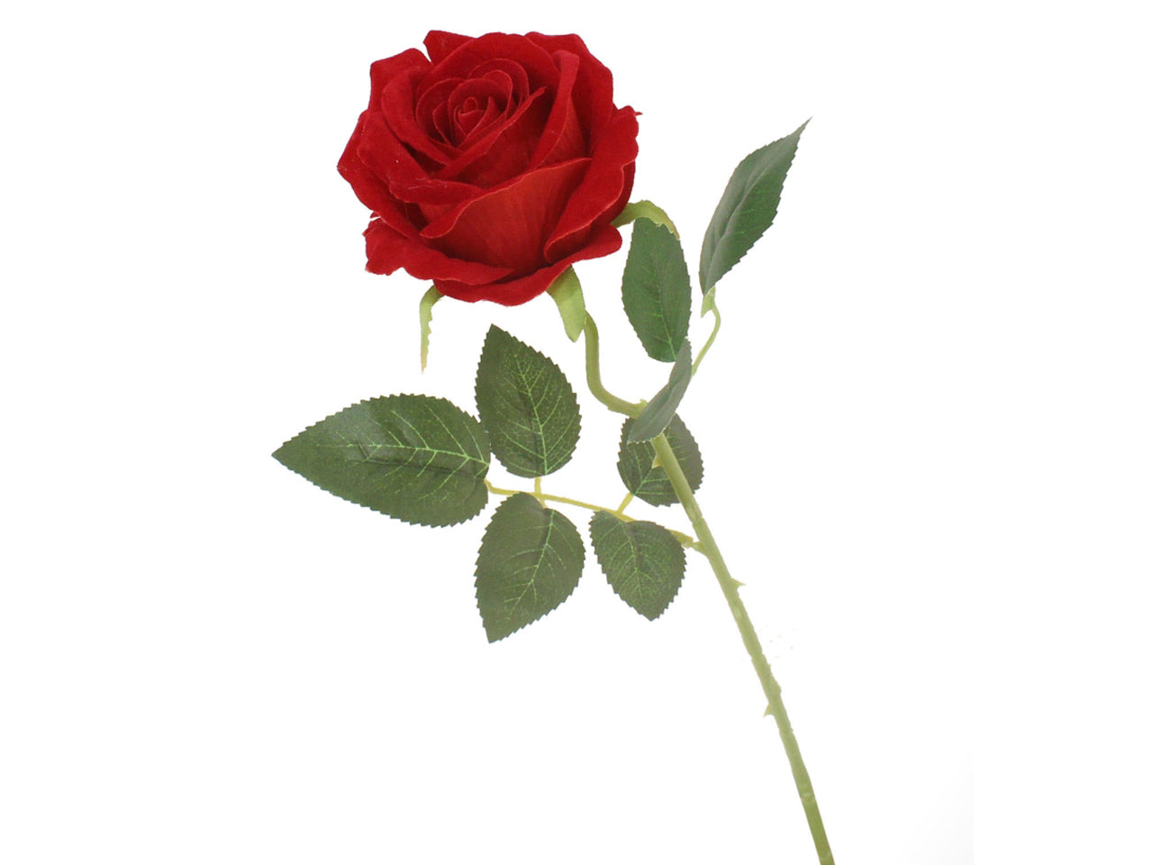 Rosa in velluto con stelo 55cm rossa