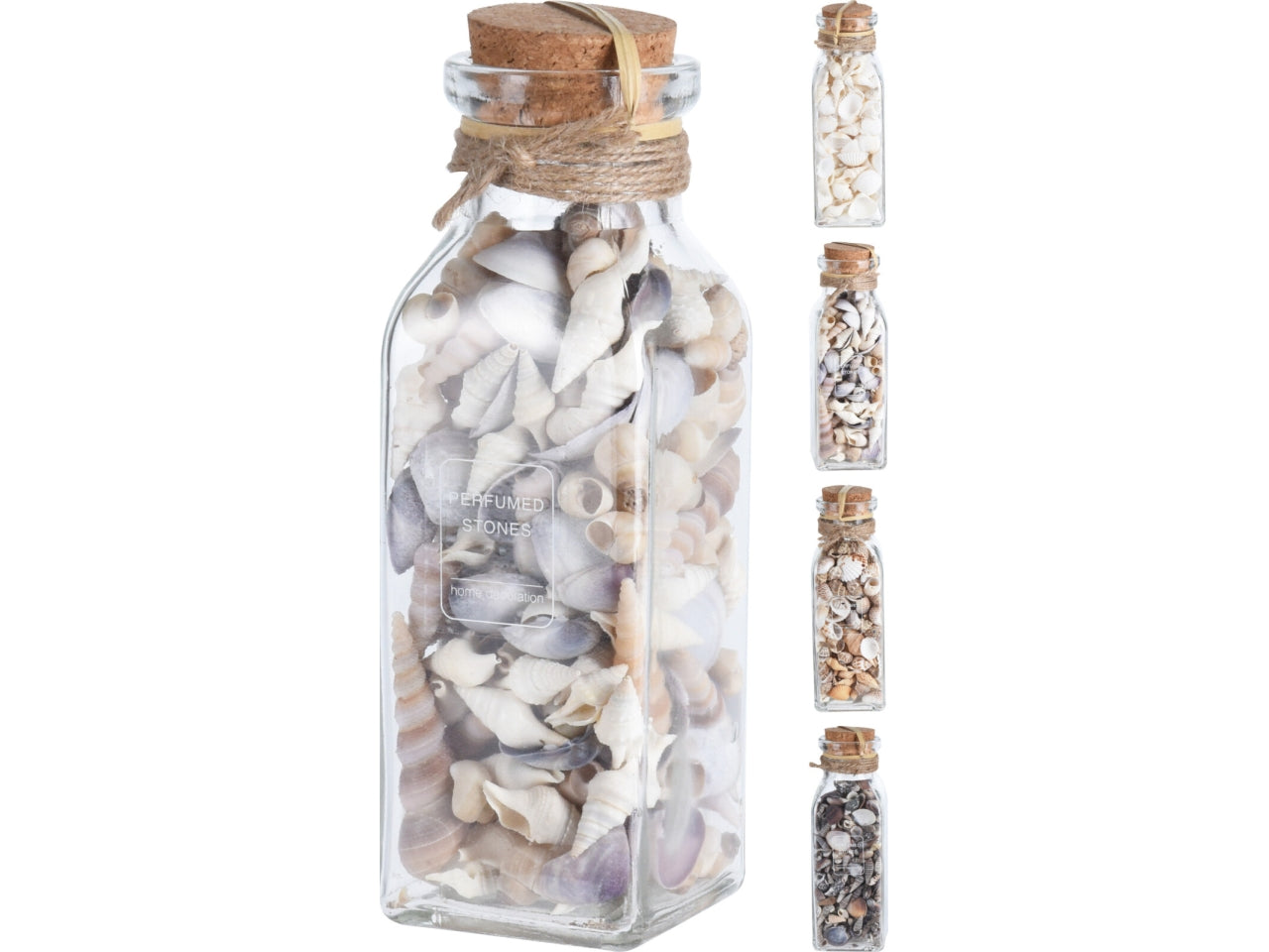 Contenitore in vetro con conchiglie 6x19cm, 4 assortimenti