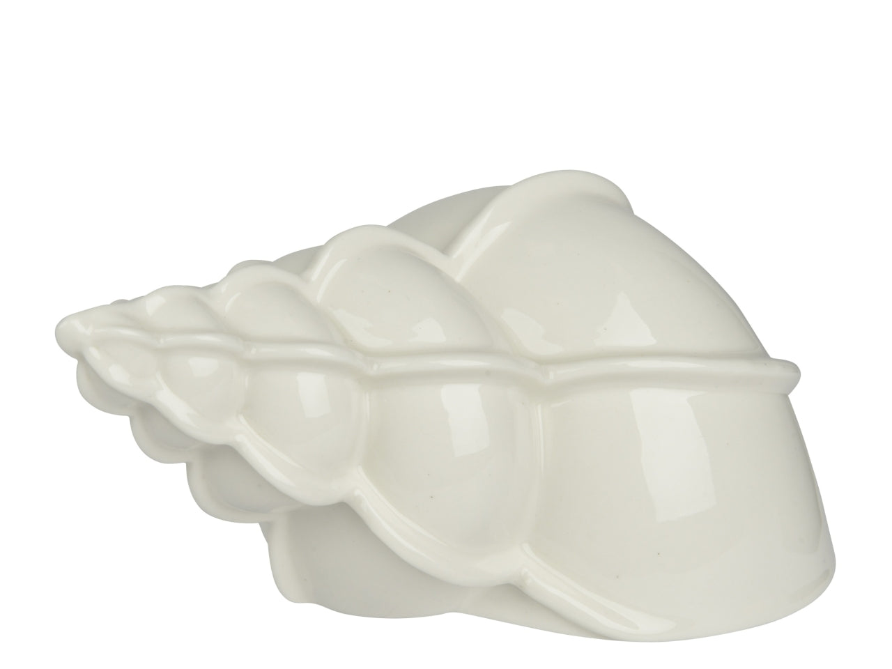 Conchiglia in porcellana bianca 17x9.9xh.8.2cm