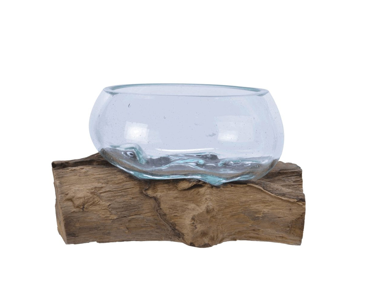 Radice c/ciotola vetro 20x20xh.12cm