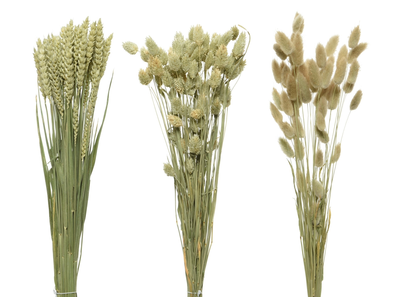 Mazzolino fiori secchi 3 assortitid.14xh.60cm