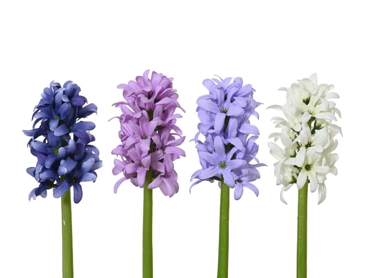 Giacinto 4 assortiti d.7xh.22cm