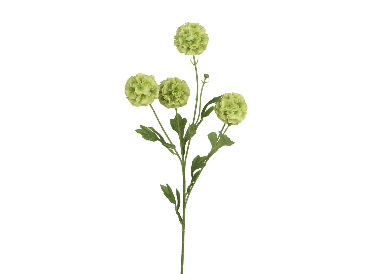 Ortensia verde 12x6xh.75cm