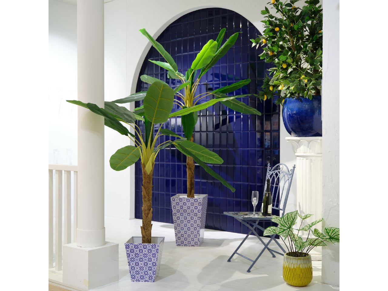 Pianta di banano 120x100xh.180cm