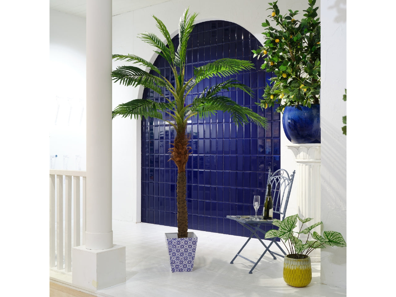 Pianta di palma 110x90xh.230cm