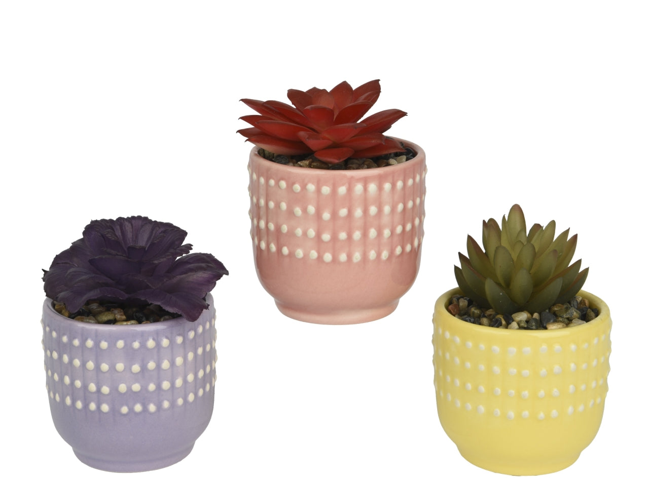 Vaso piante grasse 3 assortiti 7x7xh.10.5cm