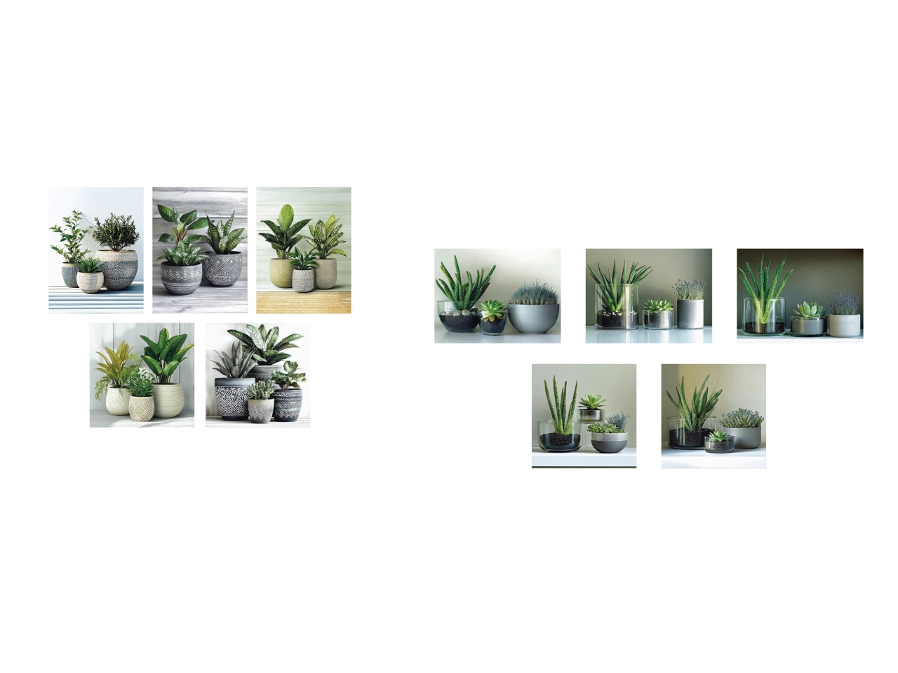 Quadri con piante set da 5 tele 15x20/25x25cm, 2 assortimenti