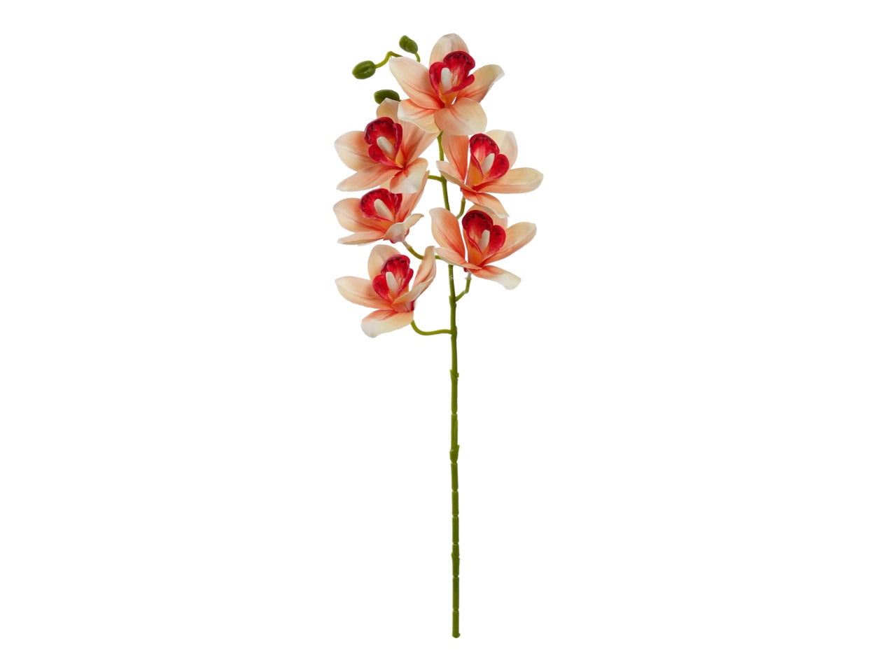 Orchidea ramo 68cm con 6 fiori arancione