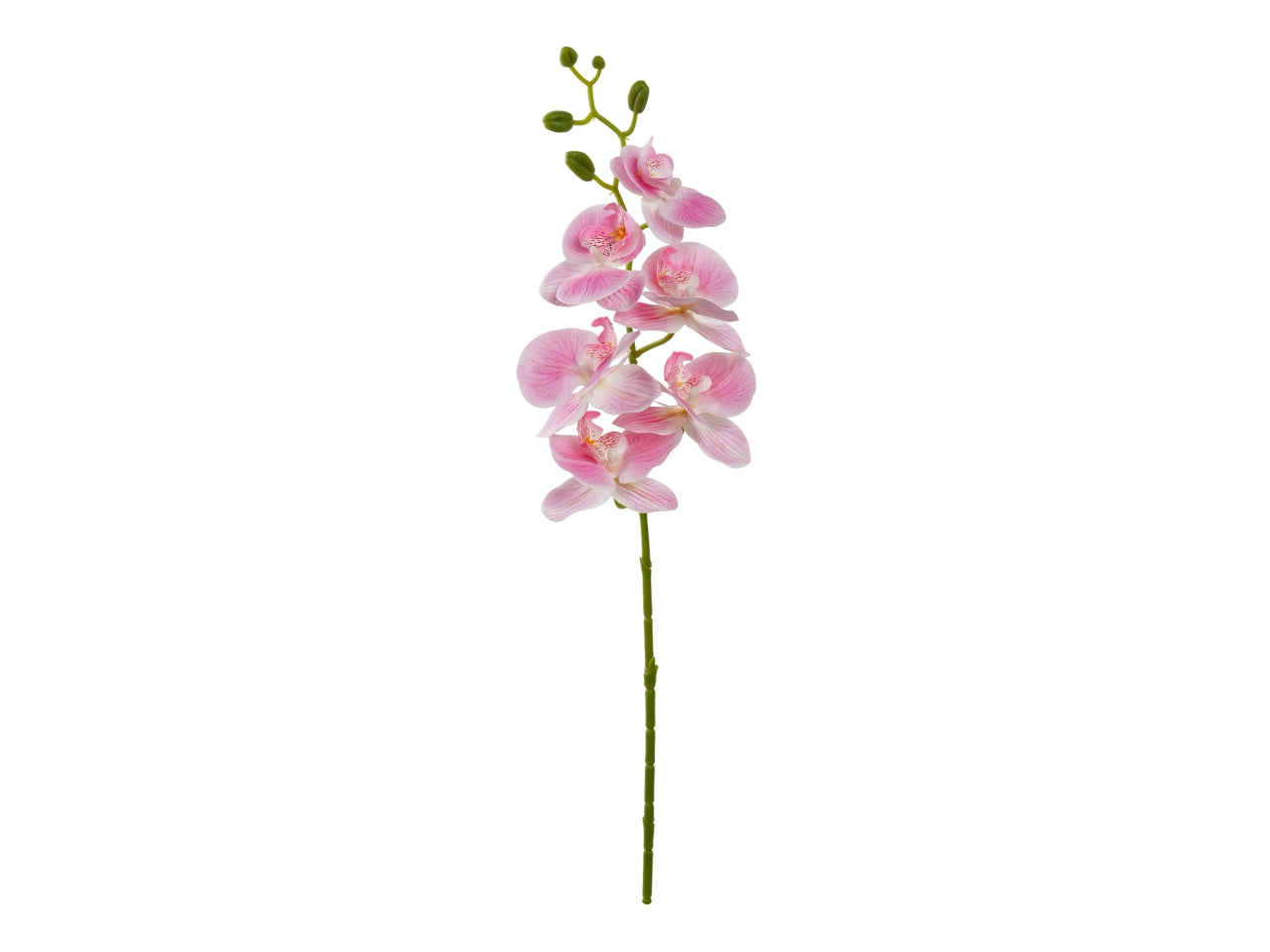 Orchidea ramo 72cm con 6 fiori rosa