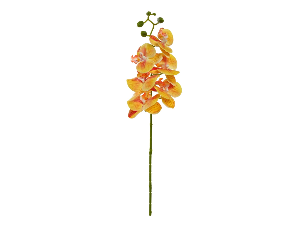 Orchidea ramo 72cm con 6 fiori giallo