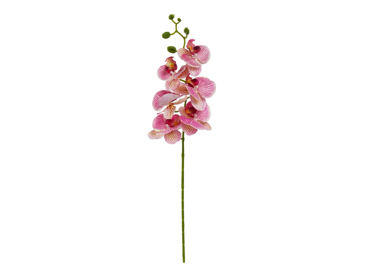 Orchidea ramo 72cm con 6 fiori beauty