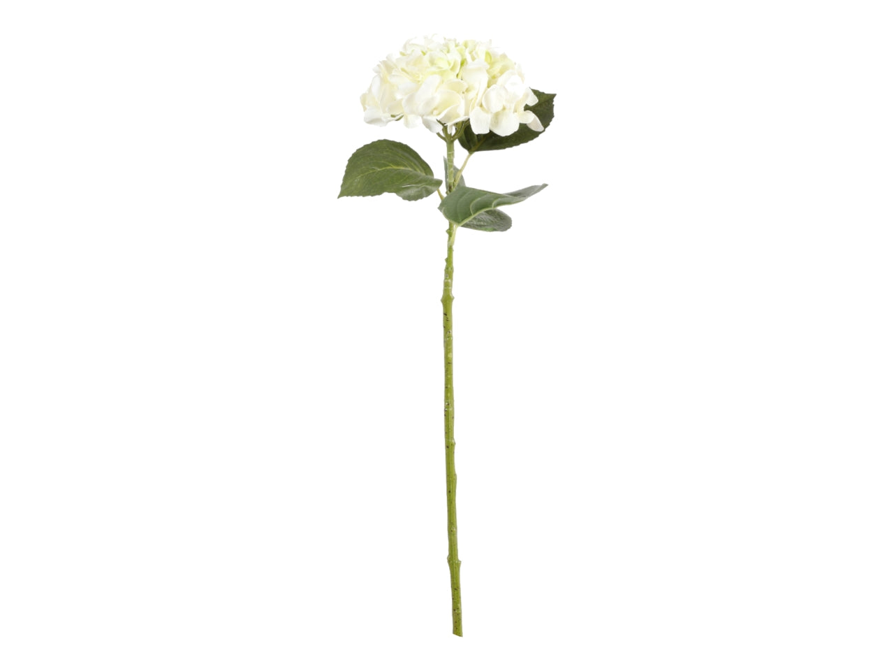 Ortensia ramo 82cm bianco