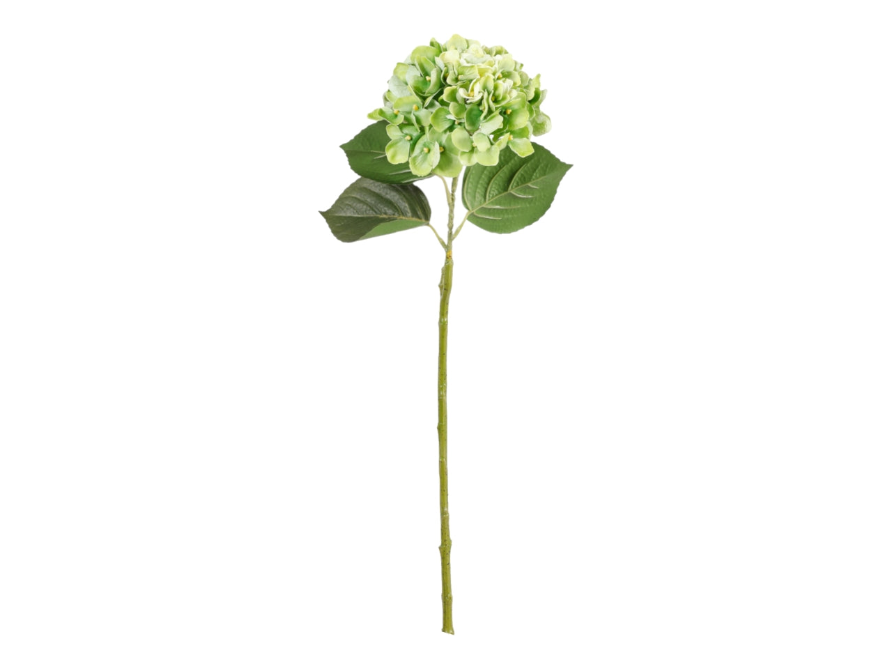 Ortensia ramo 82cm verde chiaro