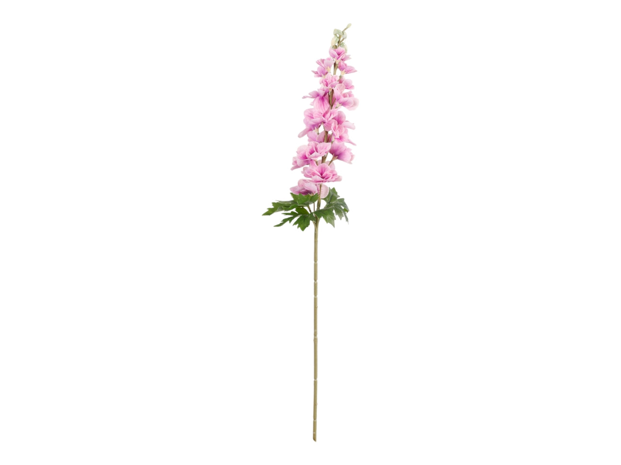 Delphinium ramo 90cm rosa