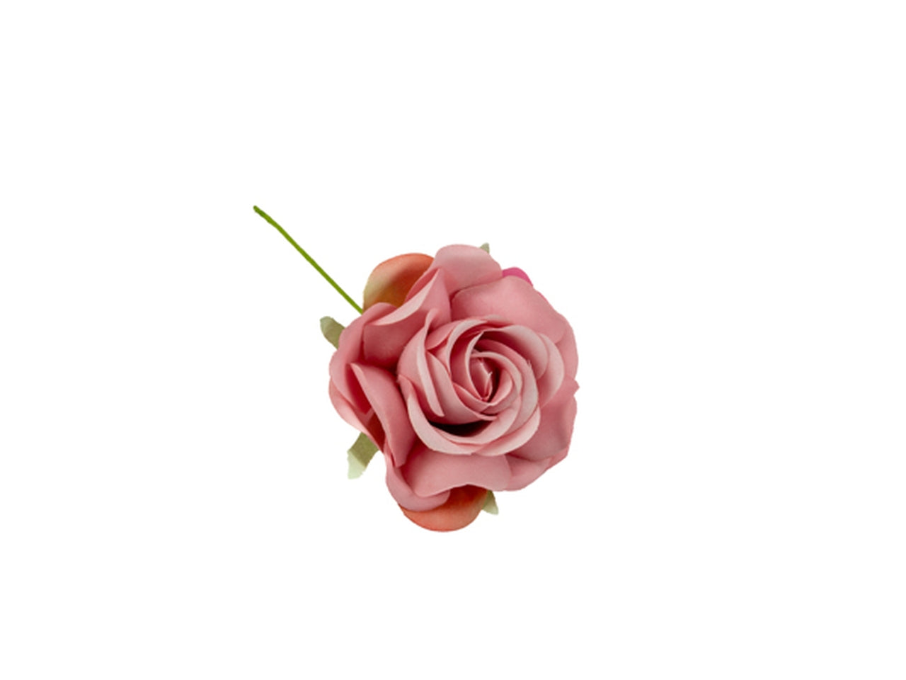 Rosa a bocciolo rosa antico in confezione da 12 fiori