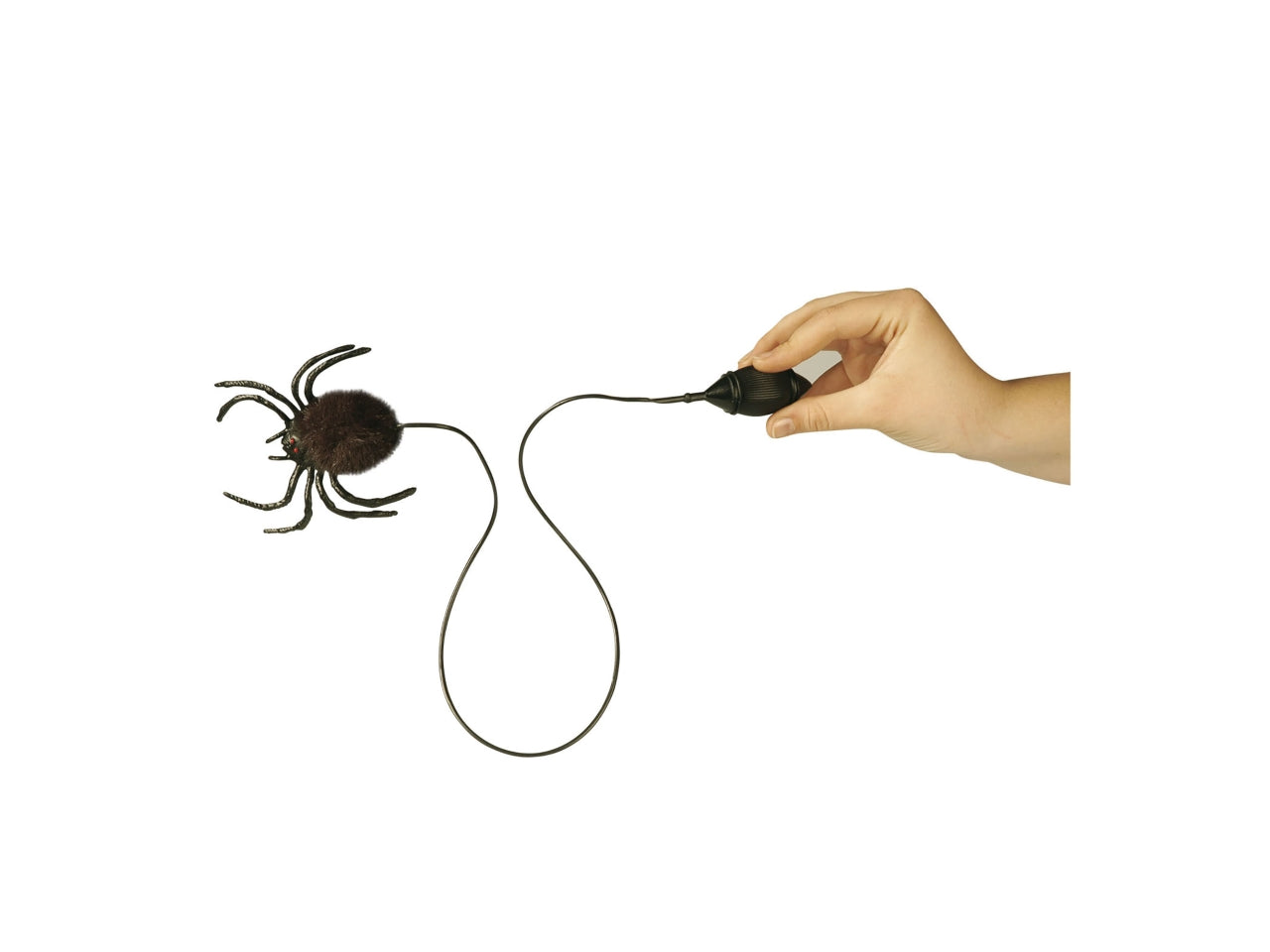 Scherzo ragno salterino